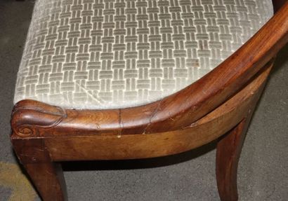 Six chaises gondoles, pieds sabres.

(Accidents,...