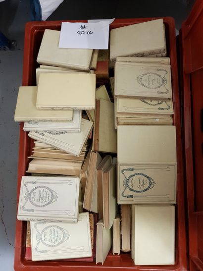 Fort lot de livres (manette)