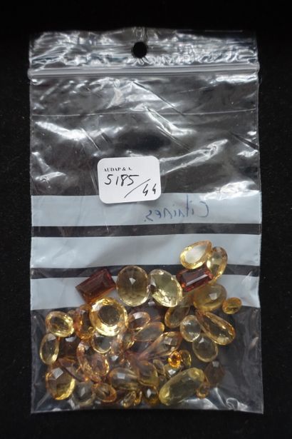 Important batch of ornamental and imitation...