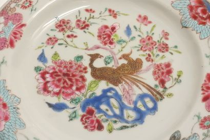 CHINA.

Plate with enamels of the rose family...