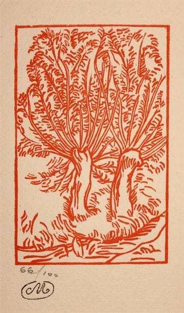 Aristide MAILLOL (1861-1944).

The Georgians....