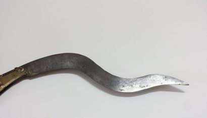 Folding knife called Navaja. 

Mounting with...