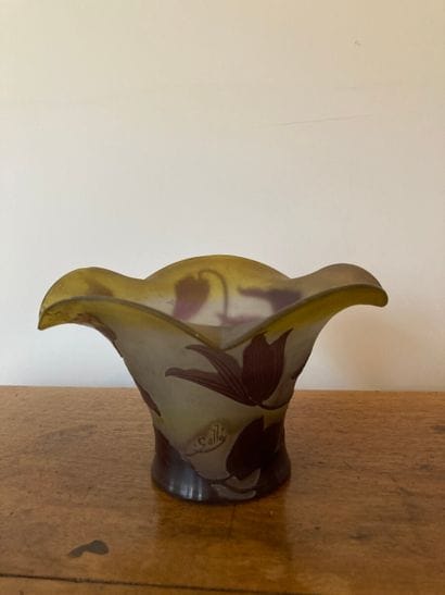Établissements Gallé (1904-1936).

Glass...