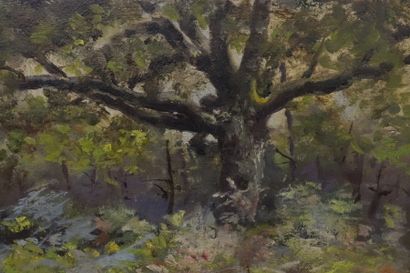 BOURDIN.

Undergrowth.

Oil on panel, signed...