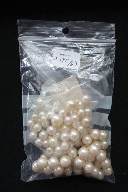 Important batch of imitation and ornamental...