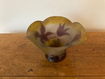 Établissements Gallé (1904-1936).

Glass...