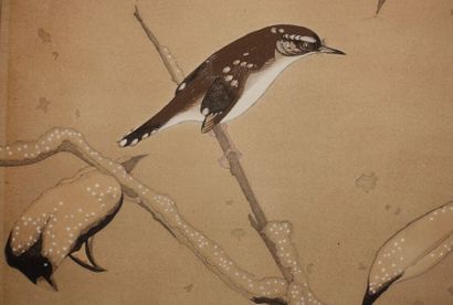 CHINA.

Bird on a snowy branch.

High. 26.4...