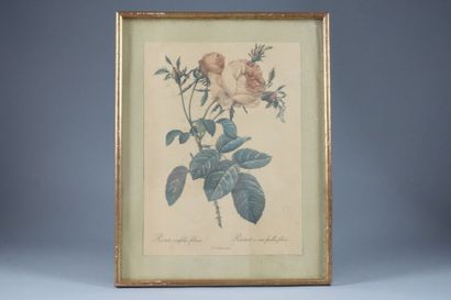 Ensemble de gravures sur le thème maritime...