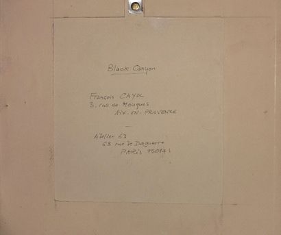 François CAYOL (né en 1954)

Black Canyon

Dessin...