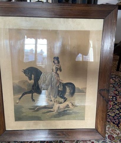 Amazone 

Gravure en couleurs

Haut.: 44...