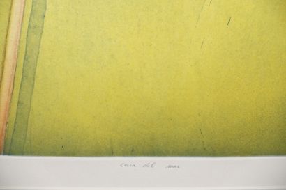 Christian BOZON (né en 1963)

Deux aquatintes...