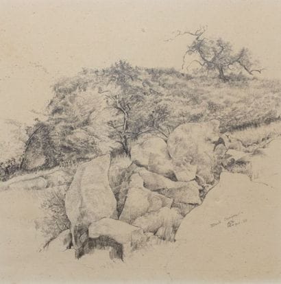 François CAYOL (né en 1954)

Black Canyon

Dessin...