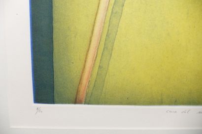 Christian BOZON (né en 1963)

Deux aquatintes...