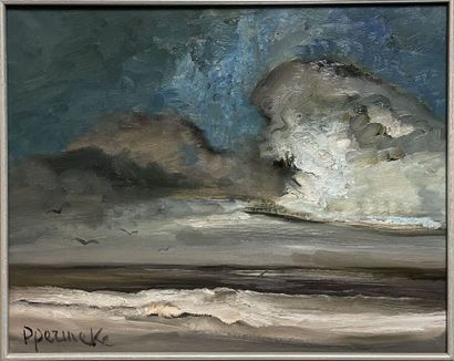 Paul PERMEKE (1918-1990)

Mer par temps nuageux

Huile...