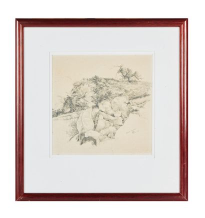 François CAYOL (né en 1954)

Black Canyon

Dessin...