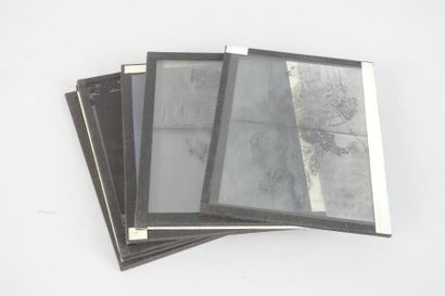 Ensemble de plaques photographiques comprenant...