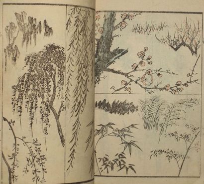 Ensemble d'albums japonais :

- Karakusa...