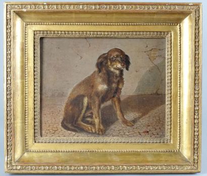 École du XIXe siècle

Chien assis

Huile...