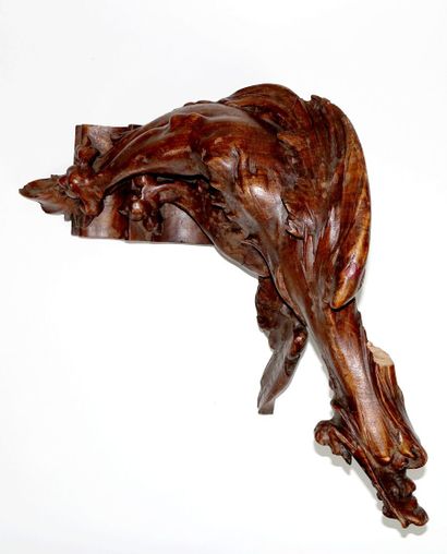 Chimère en bois sculpté

(Accidents.)

Haut....