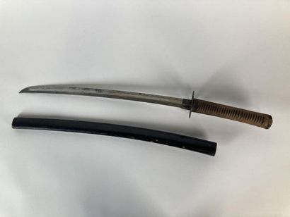 JAPON

Shinto wakizashi, shinogi zukuri,...
