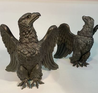 Important pair of eagles of facings
In patinated...