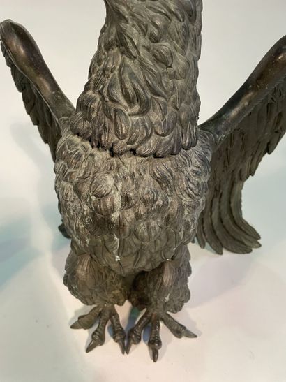 Important pair of eagles of facings
In patinated...