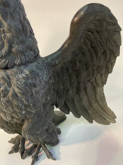 Important pair of eagles of facings
In patinated...
