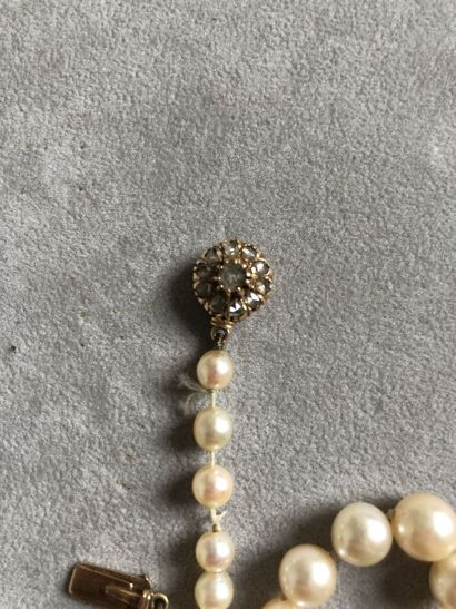Lot de trois colliers de perles de culture...
