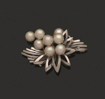 Broche 
