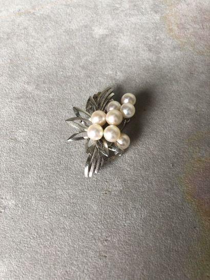 Broche 