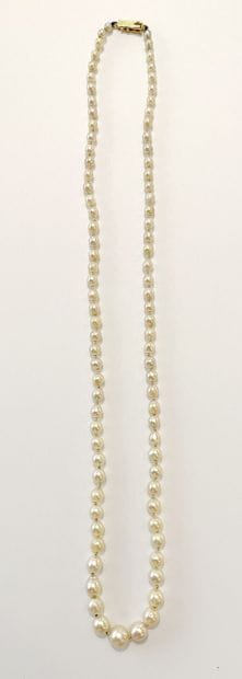 Collier de quatre-vingt-sept perles de culture...