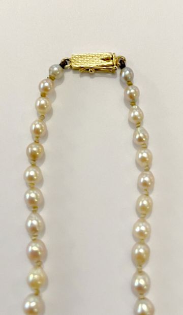 Collier de quatre-vingt-sept perles de culture...