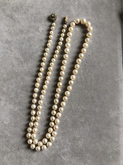 Lot de trois colliers de perles de culture...