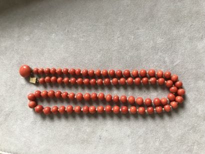 Ensemble orné de corail gravé ou uni, les...