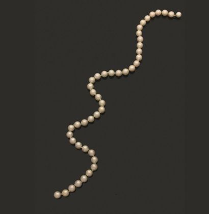 Collier de quarante-quatre perles de culture...
