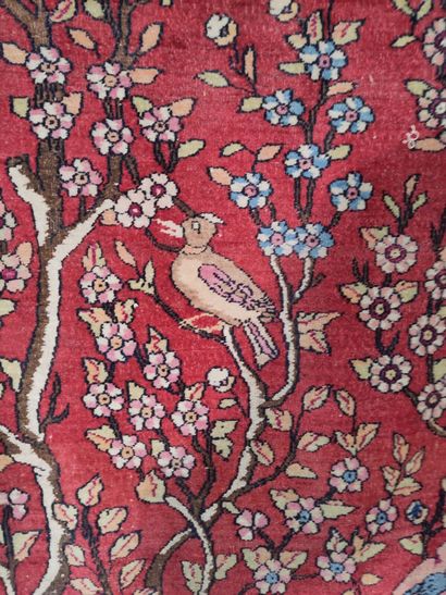 Tapis Teheran (chaîne et trame en coton,...