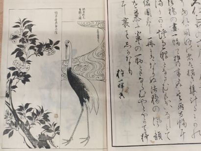 Shasei kemono zuga, Recueil de dessins d'animaux...