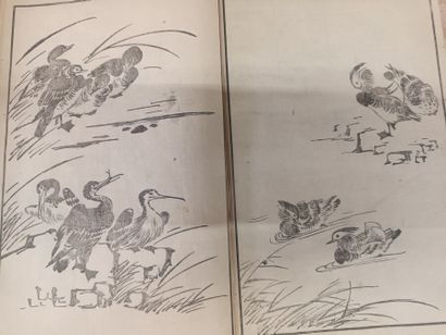 Shasei kemono zuga, Recueil de dessins d'animaux...