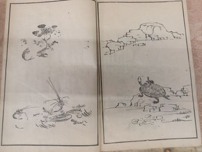 Shasei kemono zuga, Recueil de dessins d'animaux...