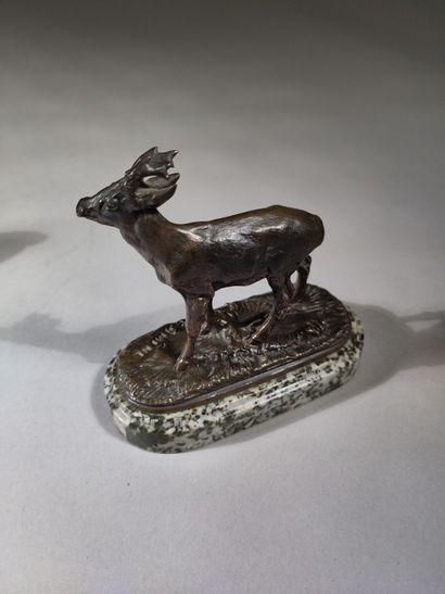 Pierre-Jules MÊNE (1810-1879)
Chevreuil
Modèle...