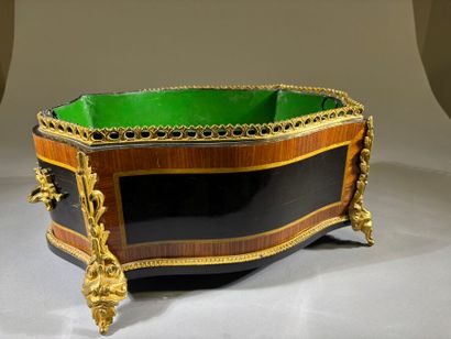 Jardinière en marqueterie de fleurs et bronze...
