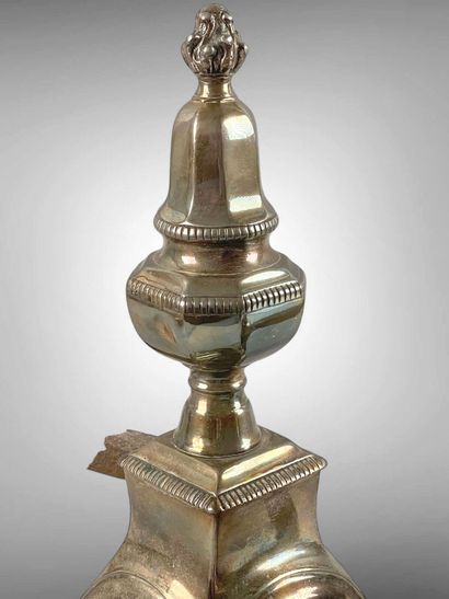 Paire de chenets en bronze argenté, à décor...