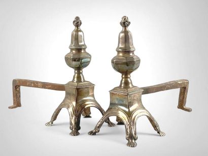 Paire de chenets en bronze argenté, à décor...