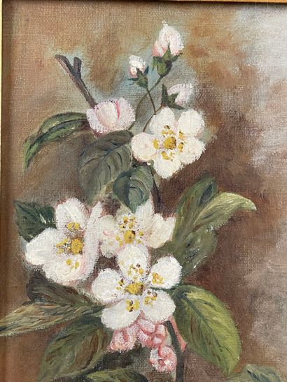 B. AUSSOURD.
Branche fleurie.
Huile sur toile,...
