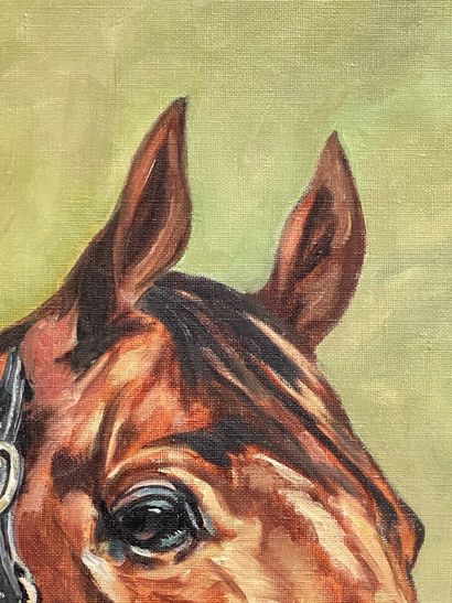 École moderne.
Tête de cheval.
Huile sur...
