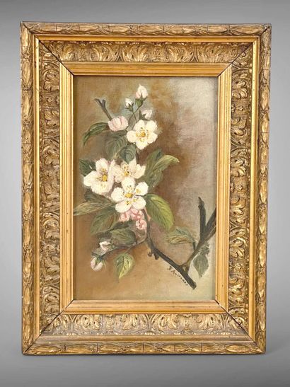 B. AUSSOURD.
Branche fleurie.
Huile sur toile,...