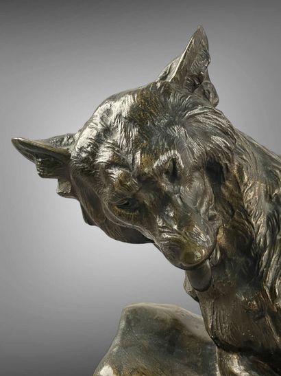 Thomas CARTIER (1879-1936).
Loup blessé.
Bronze...
