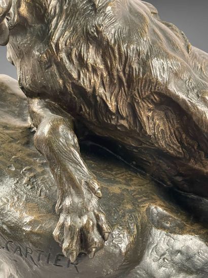 Thomas CARTIER (1879-1936).
Loup blessé.
Bronze...