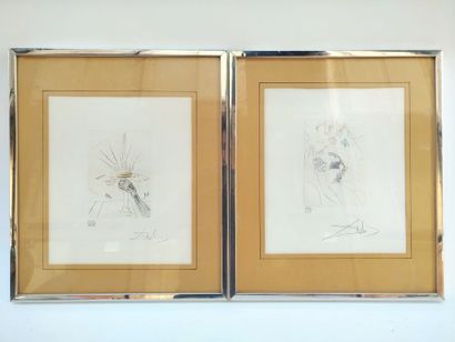 D'après Salvador DALI.
Deux lithographies,...