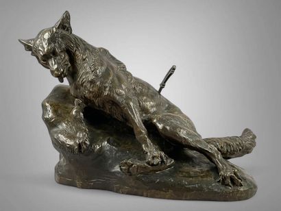 Thomas CARTIER (1879-1936).
Loup blessé.
Bronze...